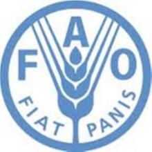 FAO To Organize ALAWUC 7th Session   