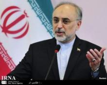 Salehi: Iran to promote its int'l position through NAM  