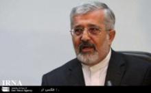 Soltanieh : "I Will Work For Unity Of NAM Member-states 