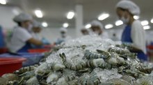 Vietnam shrimp exports achieve strongest growth in three years