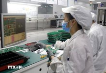 Vietnam on track to become Asia's next "tiger economy": AP