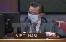 Ambassador Pham Hai Anh, deputy head of the Vietnamese permanent mission to the UN. (Photo: VNA)