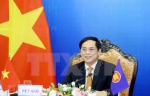 Minister of Foreign Affairs Bui Thanh Son (Photo: VNA)
