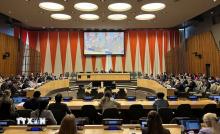 Vietnam is elected to the UN Women Executive Board for the 2025-2027 term. (Photo: VNA)