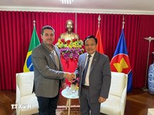 Vietnam, Brazil boost agri-trade cooperation