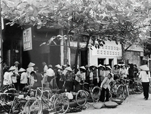 From cooperatives to millions of Vietnamese enterprises