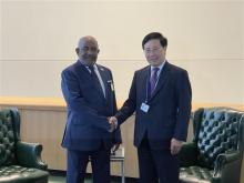 Deputy Prime Minister Pham Binh Minh (L) and President of the Comoros Azali Assoumani (Photo: VNA)