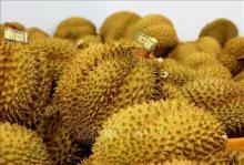 Agricultural exports poised for record-breaking year