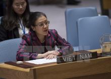 Ambassador Nguyen Phuong Nga, Head of Vietnam’s Permanent Mission to the UN. (Photo: VNA)