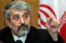 Envoy: IAEA chief to meet consequences of his historical mistake