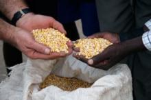Iran, Uganda to expand economic ties