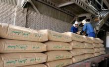 Iran exports cement to 40 countries