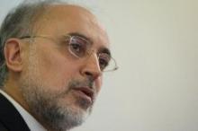 Salehi: Committee formed to follow up case of Asgari