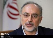 Caretaker FM: Iran, Afghanistan keen on expansion of ties