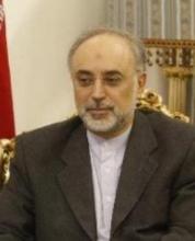 Iran-Afghan FMs review issues of mutual interest