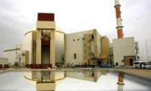 Bushehr Official Stresses Iran's Major Role in N. Power Plant Construction