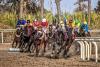 Horse racing in Iran's Gonbad Kavous