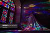 Foreign tourists visit Nasir al-Mulk Mosque in Shiraz