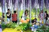 Garden show