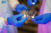 KAUST Research Unlocks Key to Longer-Lasting Water-Based Batteries